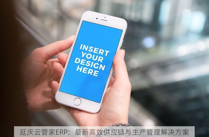 延庆云管家ERP：最新高效供应链与生产管理解决方案
