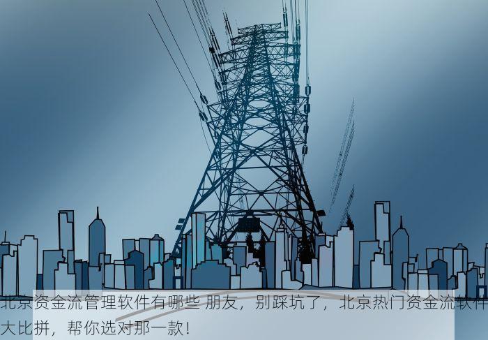 北京资金流管理软件有哪些 朋友，别踩坑了，北京热门资金流软件大比拼，帮你选对那一款！