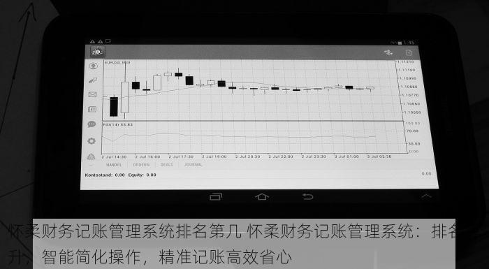 怀柔财务记账管理系统排名第几 怀柔财务记账管理系统：排名提升，智能简化操作，精准记账高效省心