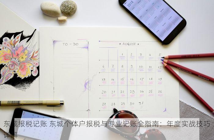 东城报税记账 东城个体户报税与专业记账全指南：年度实战技巧详解