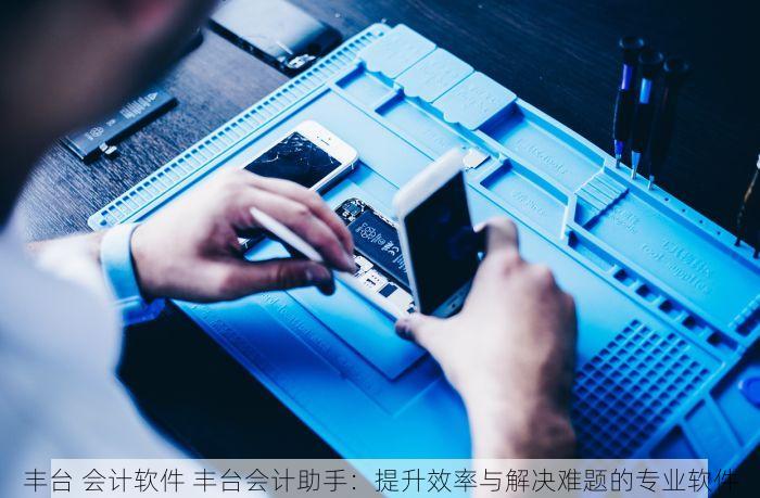 西城发票应用系统：提升财务管理效率与财税透明度