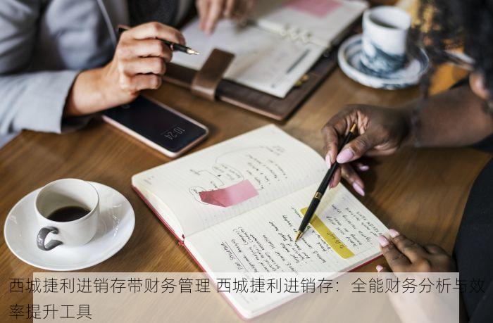西城捷利进销存带财务管理 西城捷利进销存：全能财务分析与效率提升工具