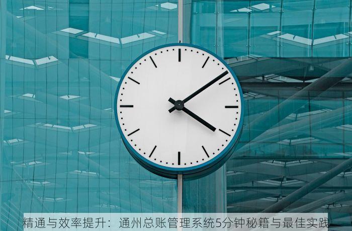 精通与效率提升：通州总账管理系统5分钟秘籍与最佳实践