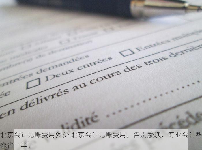 北京会计记账费用多少 北京会计记账费用，告别繁琐，专业会计帮你省一半！