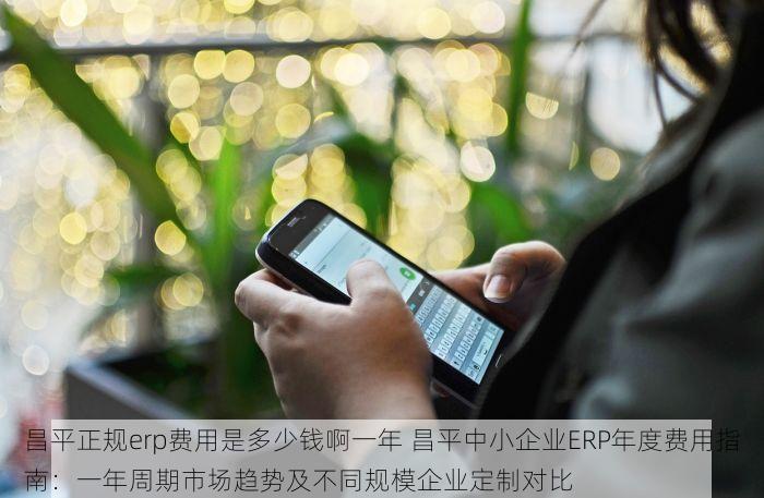 东城统一会计凭证账簿系列：高效记账与轻松掌控公司账目
