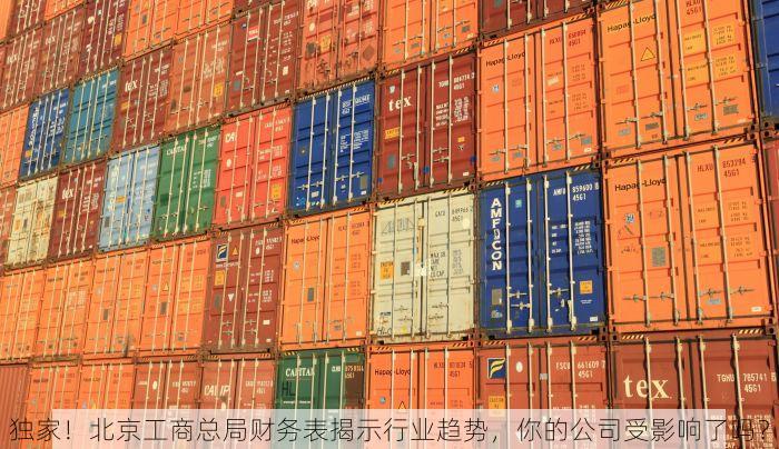 北京发票北京验票系统查询 揭秘北京发票与验票系统查询的财税知识及使用技巧
