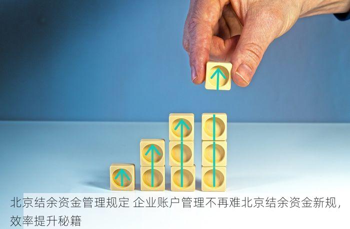 北京发票北京验票系统查询 错过损失大了！北京发票查询系统更新，最新功能揭秘让工作更轻松