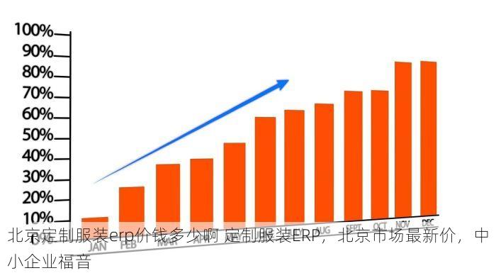 北京定制服装erp价钱多少啊 定制服装ERP，北京市场最新价，中小企业福音