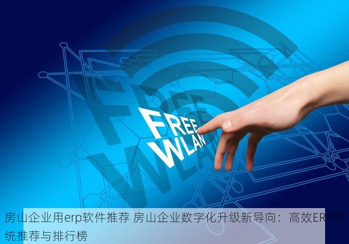 北京的发票北京系统里没有 深度解析：北京发票查询失败的原因与解决策略