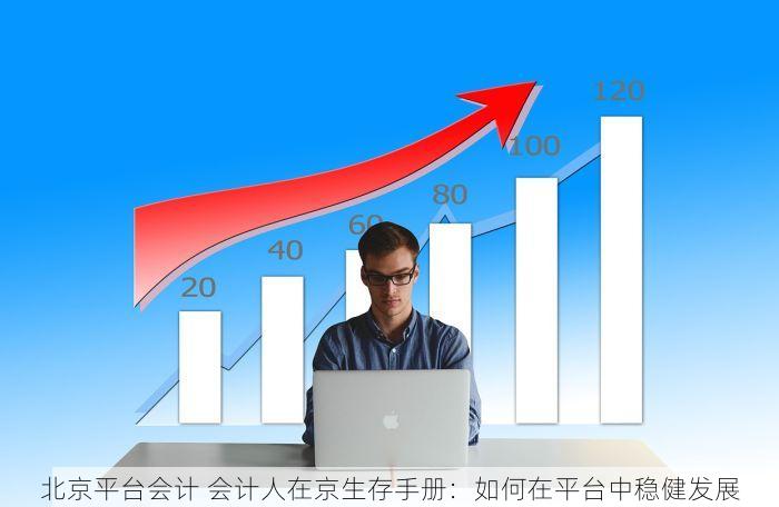 北京发票北京验票系统查询，轻松应对税务检查与发票真伪实时验证！