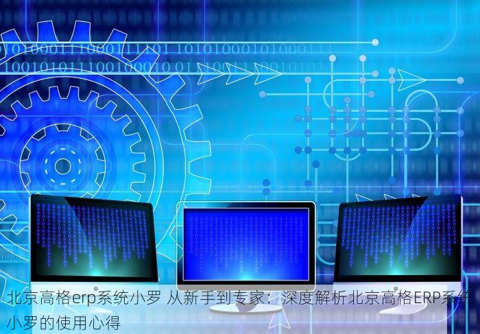 北京发票北京验票系统查询 轻松掌握北京发票与验票系统查询方法，确保发票不遗漏