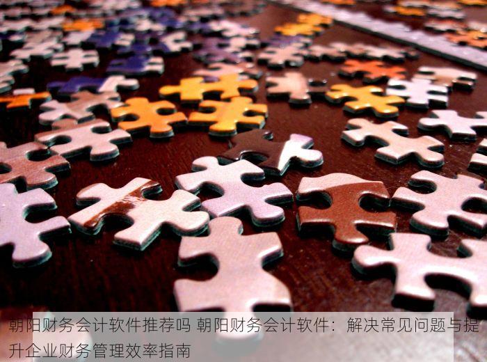 朝阳财务会计软件推荐吗 朝阳财务会计软件：解决常见问题与提升企业财务管理效率指南