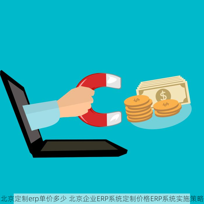 怀柔erp电子秤 怀柔ERP电子秤：高效管理库存，提升企业竞争力的不可或缺工具