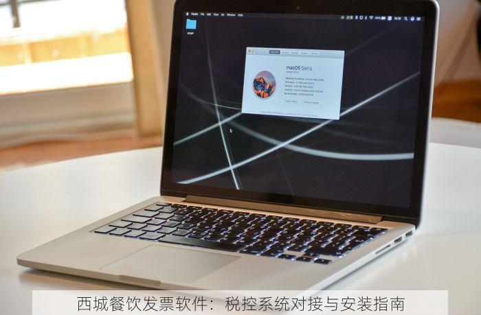 西城餐饮发票软件：税控系统对接与安装指南