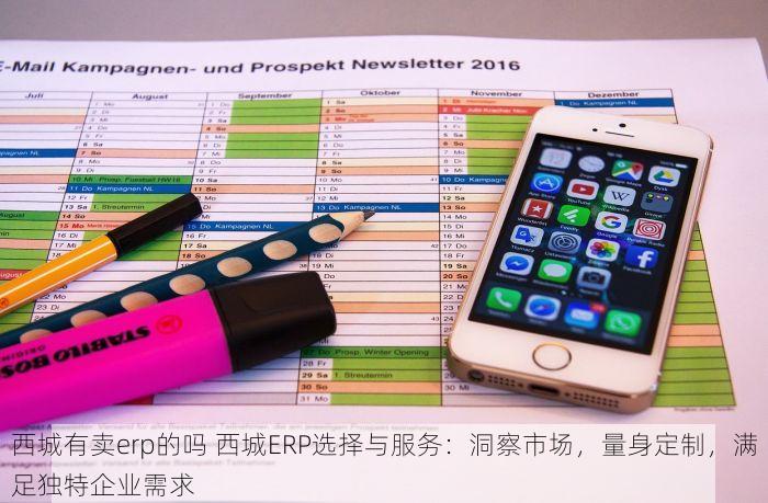 东城多功能erp供应商有哪些 东城多功能ERP供应商市场调研报告及最新选型指南，这些厂商不容错过