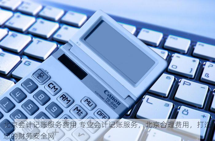 北京会计记账服务费用 专业会计记账服务，北京合理费用，打造您的财务安全网