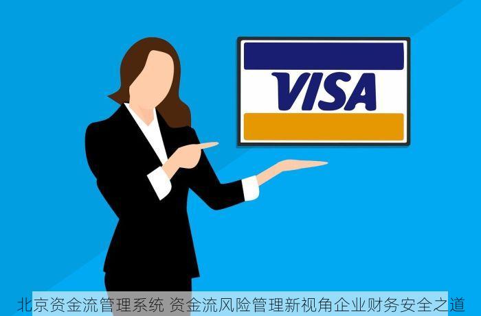 大兴物产电商erp 大兴物产电商ERP：精准营销与用户体验的双重解析