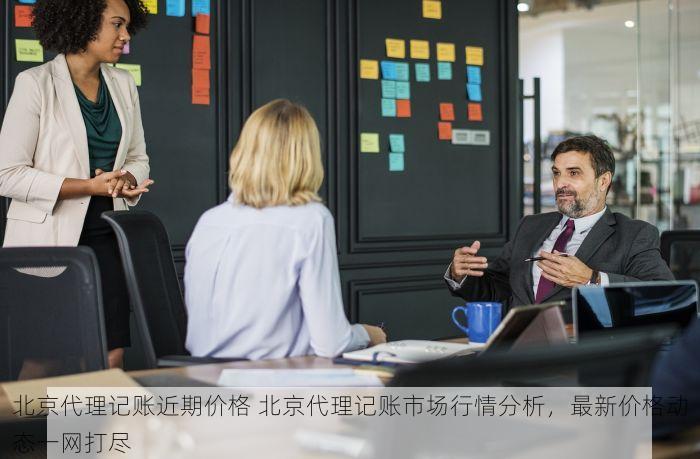 如何使用北京发票北京验票系统查询功能？