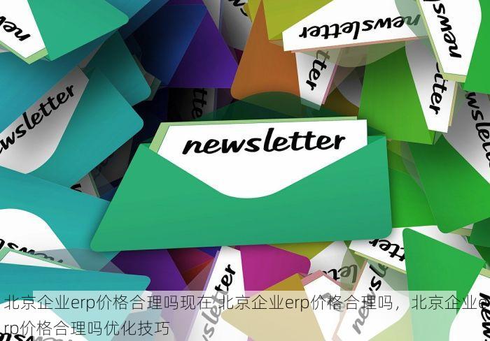 北京企业erp价格合理吗现在 北京企业erp价格合理吗，北京企业erp价格合理吗优化技巧