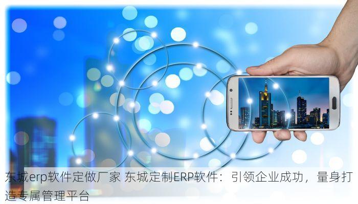东城erp软件定做厂家 东城定制ERP软件：引领企业成功，量身打造专属管理平台