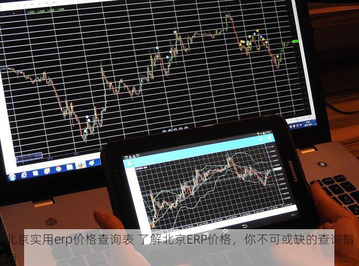 北京实用erp价格查询表 了解北京ERP价格，你不可或缺的查询指南
