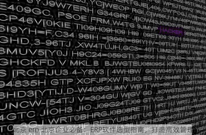北京 erp 北京企业必备：ERP软件选型指南，打造高效管理