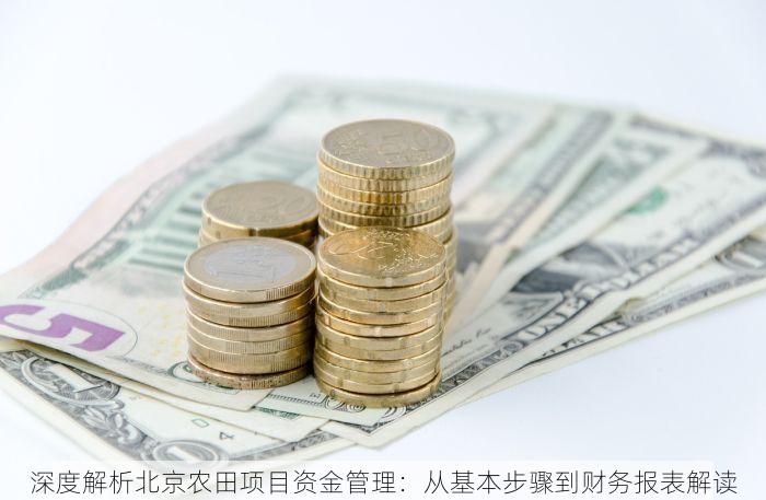 深度解析北京农田项目资金管理：从基本步骤到财务报表解读