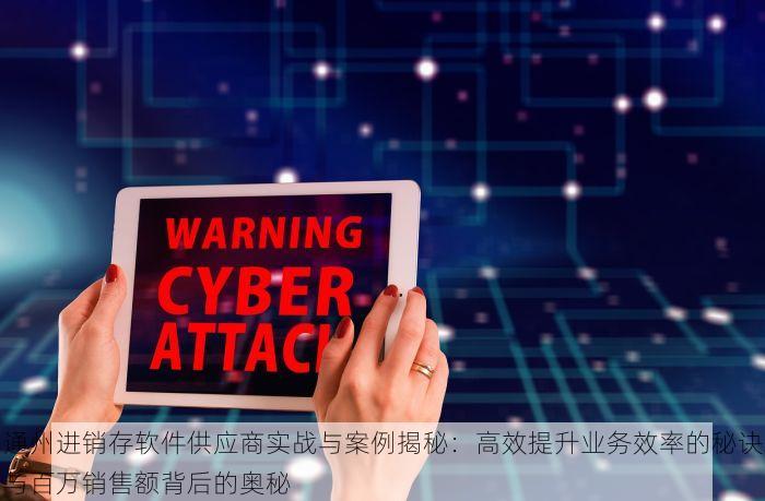 通州进销存软件供应商实战与案例揭秘：高效提升业务效率的秘诀与百万销售额背后的奥秘