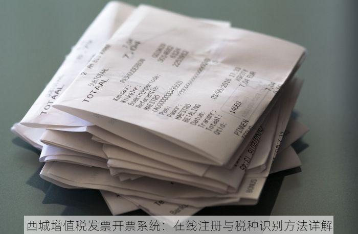 西城增值税发票开票系统：在线注册与税种识别方法详解