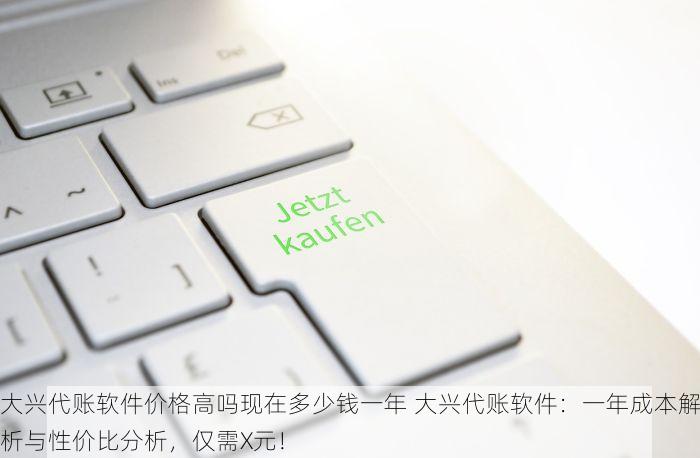 大兴代账软件价格高吗现在多少钱一年 大兴代账软件：一年成本解析与性价比分析，仅需X元！