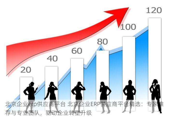北京企业erp供应商平台 北京企业ERP供应商平台精选：专家推荐与专业团队，驱动企业转型升级
