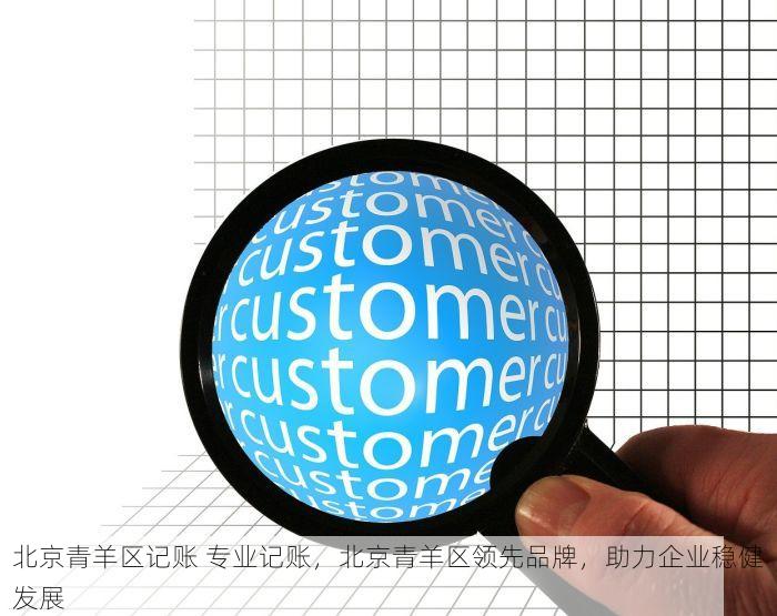 北京青羊区记账 专业记账，北京青羊区领先品牌，助力企业稳健发展