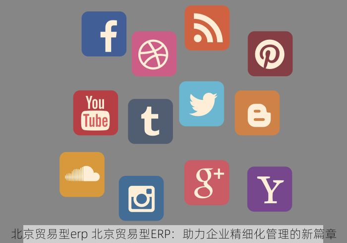 北京贸易型erp 北京贸易型ERP：助力企业精细化管理的新篇章