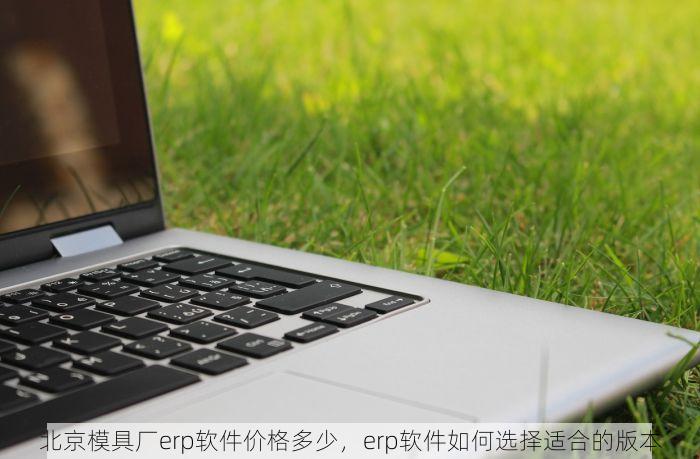 北京模具厂erp软件价格多少，erp软件如何选择适合的版本