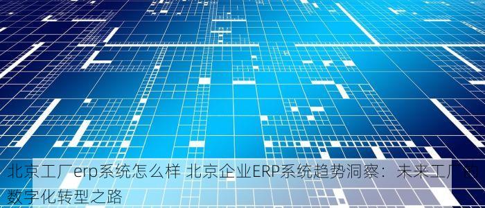 北京的发票北京系统里没有 小心！北京公司发票遗失或未入系统？权威补救与解决指南