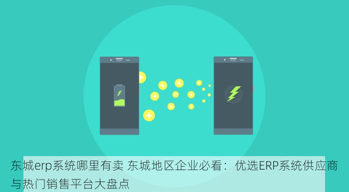 西城财务进销存系统：精准决策有保障，简化流程让企业运营更顺畅