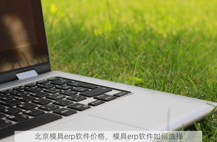 北京的发票北京系统里没有 北京的发票北京系统没记录？实用解决方案推荐