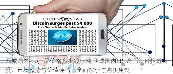 北京的发票北京系统里没有 案例分析：北京发票为何未显示在北京系统及确保无误的检查方法