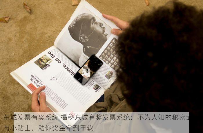 东城服装进销存平台厂家解决方案，轻松提升销量与管理效率