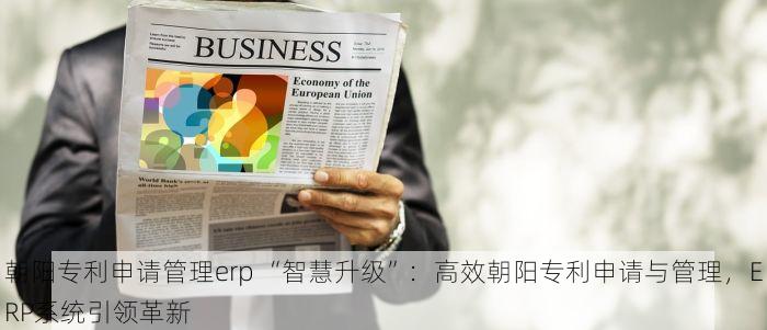 北京发票北京验票系统查询 提升效率，北京发票在线查询平台