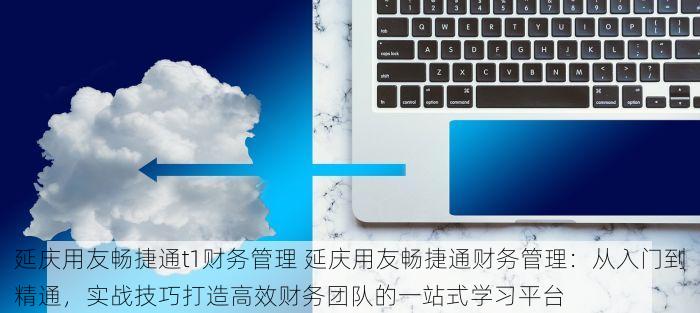 企业效率提升与财务数字化转型利器：怀柔发票扫描软件实现票据自动化管理