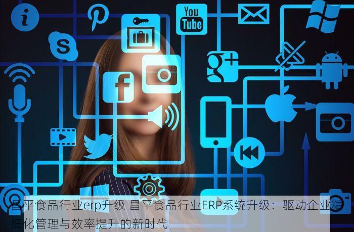 昌平食品行业erp升级 昌平食品行业ERP系统升级：驱动企业精细化管理与效率提升的新时代
