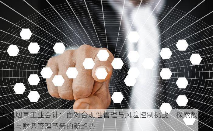 大兴地税发票税控系统：专业级发票管理与财务人员的贴心助手！
