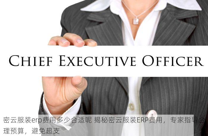erp 服装西城 ERP服装西城：驱动高效协同与时尚供应链新高度，赢在起跑线