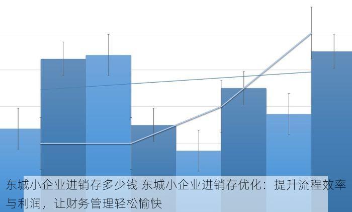 东城小企业进销存多少钱 东城小企业进销存优化：提升流程效率与利润，让财务管理轻松愉快