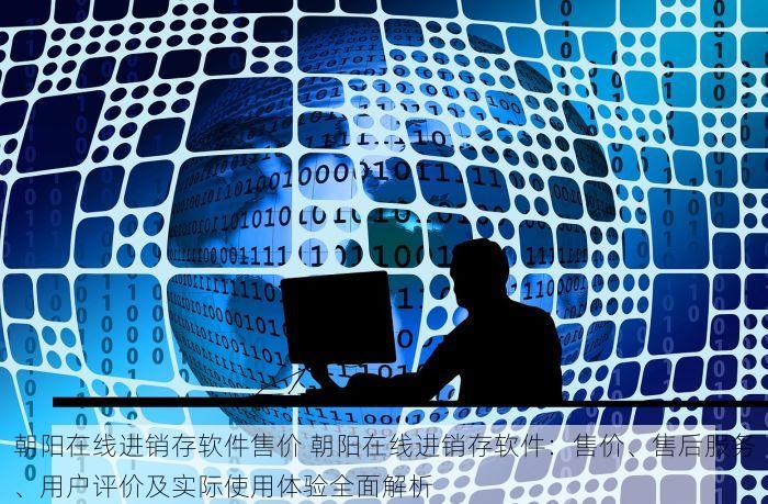 北京发票北京验票系统查询 北京发票高效验票与账务管理神器：轻松解决难题，快速上手