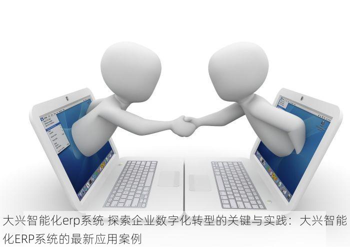 大兴ERP领域 大兴ERP选型与培训指南：选择与掌握企业级ERP系统
