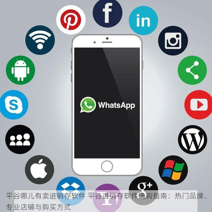 平谷哪儿有卖进销存软件 平谷进销存软件选购指南：热门品牌、专业店铺与购买方式