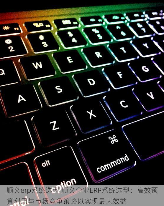 顺义erp系统选型 顺义企业ERP系统选型：高效预算利用与市场竞争策略以实现最大效益