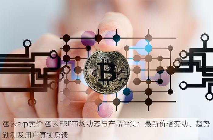 西城瑞安注塑行业erp系统 西城瑞安注塑行业ERP系统最新升级与选型攻略